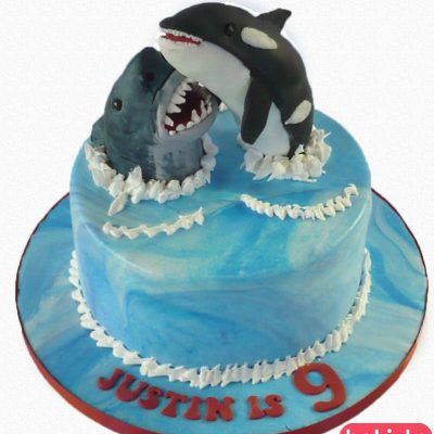 shark cake